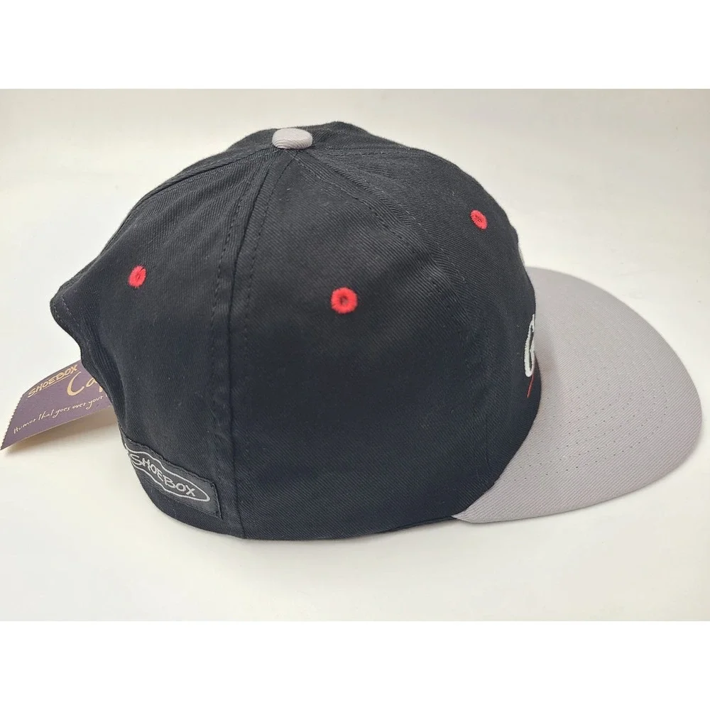 Vintage Aging Graysfully Snapback Hat Cap Funny‎ Humor Joke Men Women Black Gray